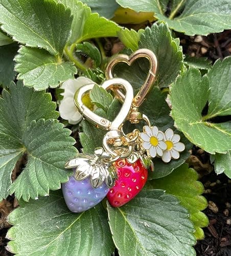 Agromusk Cute Strawberry Keychain,Bag Charms,Kawaii Heart Flower Daisy Key chains Accessories Decor for Girls Purse Gift thumbnail 8