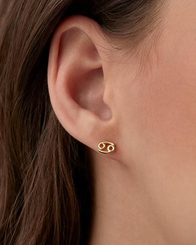 PAVOI 14K Gold Plated 925 Sterling Silver Posts Zodiac Sign Flat Back Earring Studs | Birthday Gift for Women | Astrology Earring Pair thumbnail 2