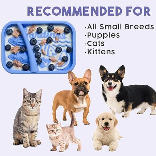 Awoo Sardina - Silicone Dog & Cat Lick Mat + Slow Feeder with Suction Cups - Non-Slip, Dishwasher Safe Pet Dish - Extends Mealtime for Fast Eaters & Reduces Anxiety - for Wet & Dry Food (Melon) thumbnail 9