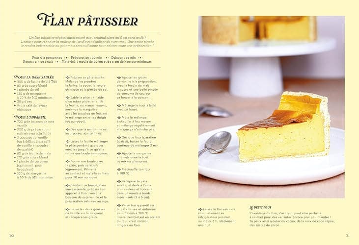 Le Grand Livre des Gâteaux de Famille: Recettes sans oeufs ni produits laitiers thumbnail 6