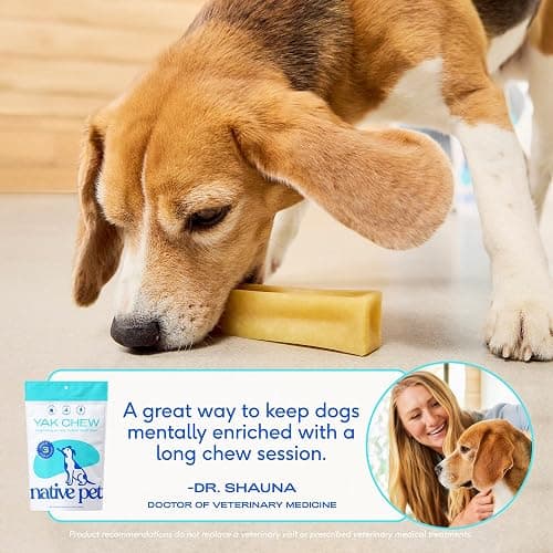 Native Pet Yak Cheese Himalayan Dog Chews - Long Lasting Dental Sticks for Medium Breeds – 100% All Natural Himalayan Yak Chews for Medium Dogs – Cheese Bone for Aggressive Chewers - 10 Per Pack thumbnail 7
