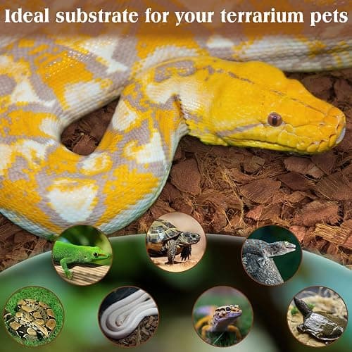 ZeeDix 10LBS Coconut Husk Chip Substrate for Reptiles, 72QT Compressed Organic Coco Coir Chips for Snake Habitat, Reptile Bedding for Ball Python, Tortoises, Geckos, Lizards Terrarium Tanks thumbnail 4