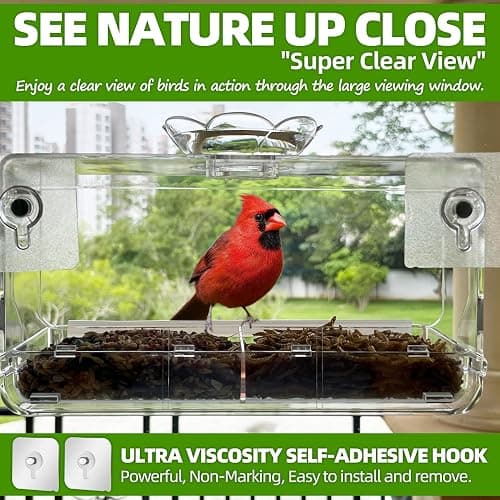 WENMIXER Window Bird Feeder with Non-Marking Self-Adhesive Hooks, Clear and Transparent, Outdoor Wild Bird Watching Gift, Garden Decor (Standard) thumbnail 3