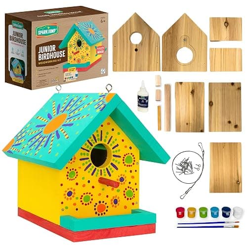 SparkJump Jr Bird House Kit, DIY Cedar Wood Birdhouse for Outdoors with Paint, Fun for Kids & Adults, Bird House Making Kit for All Ages (1-Pack) - Image 1