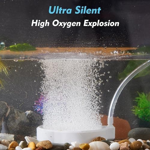 Rise Torrent Nano Air Stone with Case, Silent High-Oxygen Diffuser for Aquarium, Fish Tank & Hydroponics - 3 Inch White Small Bubble Diffuser Accessories (No Air Pump and Air Tube) thumbnail 4