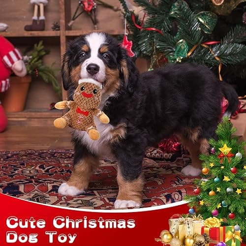 loncoldy Christmas Dog Toys Gingerbread Man Dog Squeaky Toy Cute Stuffed Large Plush Chew Toy to Keep Them Busy Interactive Puppy Toys Holiday Pet Toys for Dogs Gifts for Puppy, Small, Medium Breed thumbnail 7