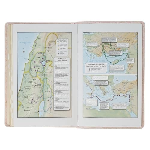 KJV Holy Bible, Deluxe Gift Bible with Thumb Tabs, Ribbon Marker, King James Version, Faux Leather, Pink thumbnail 9