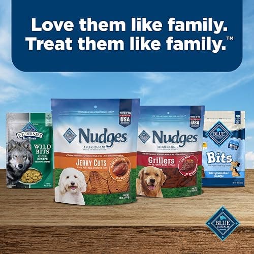 Blue Buffalo Nudges Jerky Cuts Dog Treats, Made in the USA with Natural Ingredients, Chicken & Duck, 16-oz Bag thumbnail 9