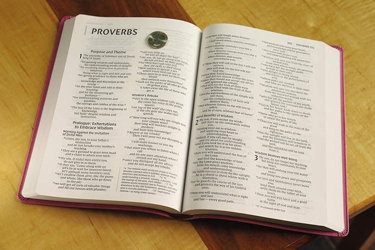 NIV, Value Thinline Bible, Large Print, Leathersoft, Pink, Comfort Print thumbnail 3