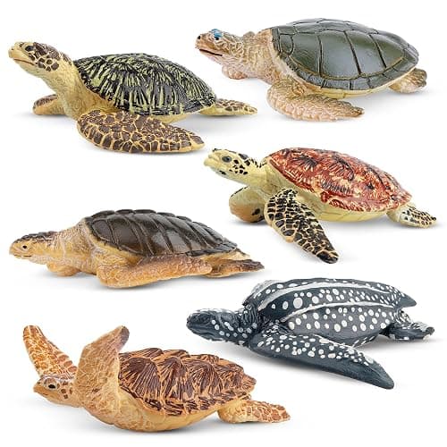 Toymany 6PCS Realistic Sea Turtle Figurines, Plastic Ocean Sea Animals Figures Set Includes of Turtles, Educational Toy Cake Toppers Christmas Birthday Gift for Kids Toddlers - Image 1