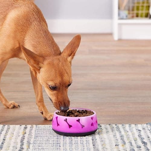 Dogit Non-Skid Dog Food and Water Bowl, Pink – BPA-Free Dish with Cute Hearts and Bones Design, Dishwasher Safe Pet Bowl, 4.9” Diameter, 10.1 fl. oz. Capacity – Durable & Stylish Bowl thumbnail 3