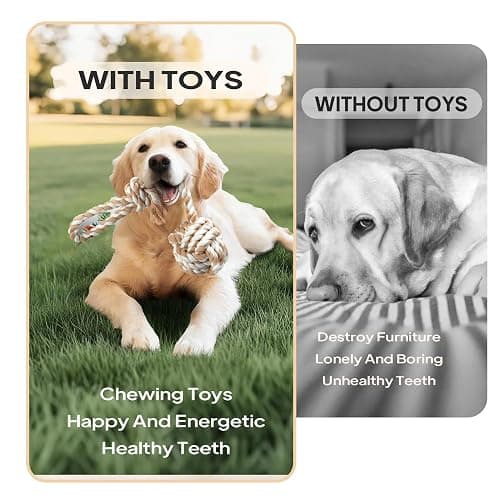 PetiFine Chew Toys for Dogs 4 Pack, Dog Rope Toy for Aggressive Chewers, Interactive Rope Ball Natural Cotton, Dog Tug of War Toy for Teeth Cleaning thumbnail 4