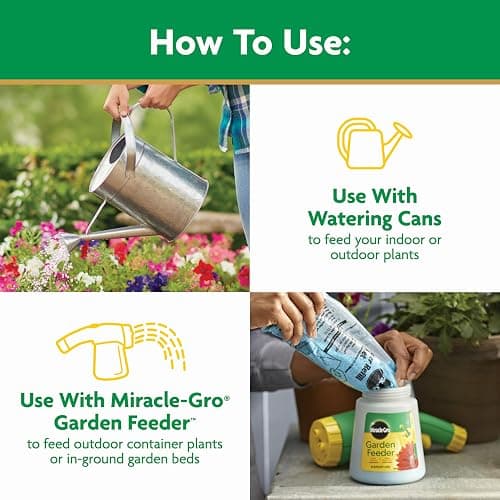 Miracle-Gro Water Soluble All Purpose Plant Food, For All Indoor or Outdoor Plants, Roses, Flowers, Vegetables, Houseplants, Trees, and Shrubs, 1.5 lbs thumbnail 6