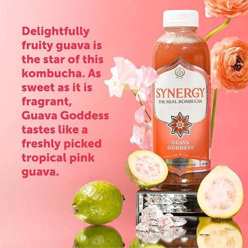 SYNERGY The Real Kombucha - Guava Goddess - 16 fl oz Bottle - Raw Probiotic Drink for Gut Health and Immune Support thumbnail 3