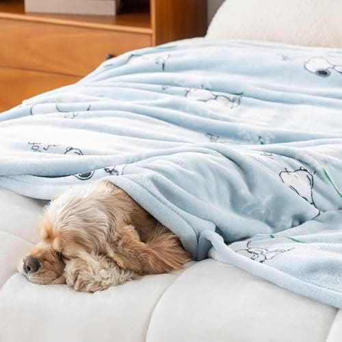 Berkshire Blanket Peanuts® VelvetLoft® Cute Character Snoopy Plush Throw Blanket,Peanuts Snoopy Make A Wish Spring Blue,Throw 55 in x 70 in (Official Peanuts® Product) thumbnail 7