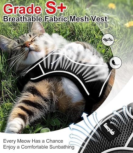 Cat Harness and Leash for Walking Escape Proof Soft Adjustable Cat Leash Breathable Comfortable Vest Easy to Wear Kitten Harness for Outdoor Travel Black XS thumbnail 3