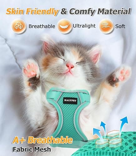 Halypet Cat Harness and Leash Set [MAX Safety 4th-Gen Upgrade] Escape Proof Adjustable Cat Leash Comfortable Soft Vest Easy to Wear Kitten Harness with Reflective Strip for Cats Walking, M Green thumbnail 3