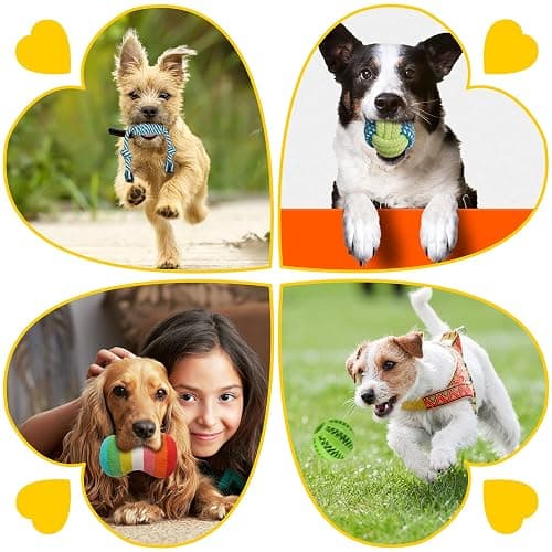 Zeaxuie 25 Pack Luxury Dog Chew Toys for Puppy, Dog Toys with Ropes, Treat Ball and Squeaky Puppy Toys for Teething Small Dogs thumbnail 7