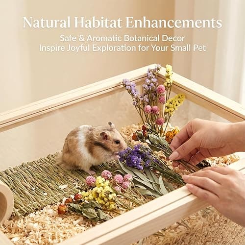 Sukh Hamster Bedding Sprays Habitat Decor - Natural Hamster Cage Accessories with Floral Forage, Layered Small Animal Habitat Decor for Hamster Enrichment, Syrian Hamster Hideout Cage Decor thumbnail 4