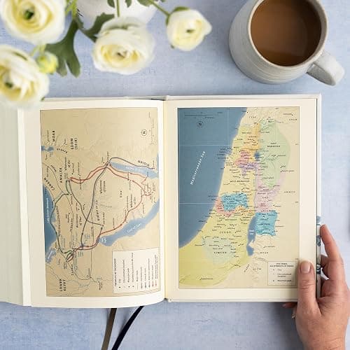 CSB Notetaking Bible, Large Print Edition, Cream Floral Cloth Over Board, Black Letter, Wide Margins, Journaling Space, Single-Column, Reading Plan, Easy-to-Read Bible Serif Type thumbnail 7