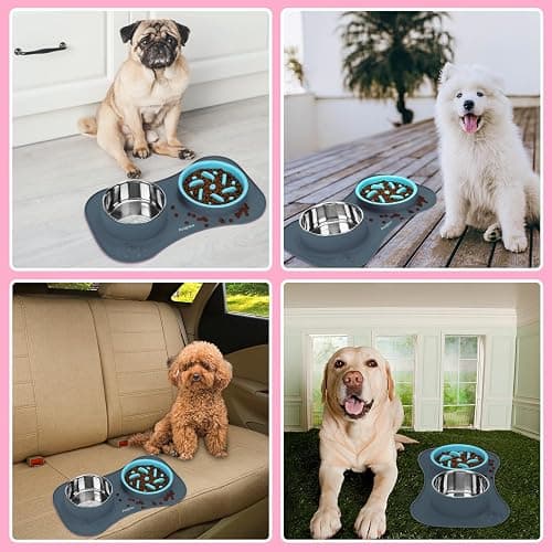 Anipaw Slow Feeder Dog Bowls 3 in 1 Stainless Steel Dog Food and Water Bowls with Non-Spill and Non-Skid Silicone Mat to Slow Down Eating for Large Medium Small Breed Size Dogs and Cats thumbnail 7