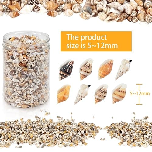 WEOXPR 2000 Pcs Tiny Sea Shells for Craft, Mixed Ocean Beach Mini Seashells | 2000 tiny sea shells, mini seashells bulk, mixed ocean shells, crafting, DIY, fish tank, vase decor thumbnail 3