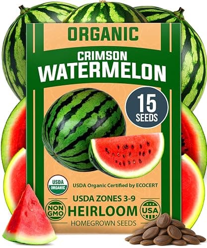 HOME GROWN Organic Crimson Sweet Watermelon Seeds 15+ Heirloom Non-GMO, High Germination, Honey Sweet Summer Fruit, Striped Skin, Home Garden & Raised Beds, High Sugar Content (Citrullus lanatus) - Image 1