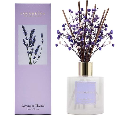 Cocorrína Premium Reed Diffuser Set with Preserved Baby's Breath & Cotton Stick Lavender Thyme | 6.7oz Scent Fragrance Lavender Oil Diffuser for Bedroom Bathroom Home Décor - Image 1