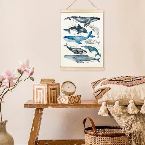 TAEDIN Whales Ocean Animal Chart Poster Hanger Frame, Whales Nautical Wall decor Educational Wooden Canvas Print, Sea Life Beach Wall Decor Painting for Classroom Nursery Bedroom Teen Room 12X16 - 16L" x 12W" - Whale thumbnail 4
