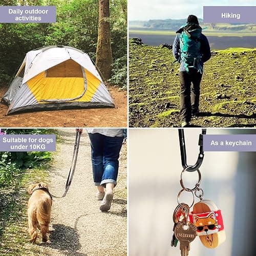Zalava 6PCS Carabiner Keychain, 2 inch Aluminum D-Clip Caribeener with Hook thumbnail 6