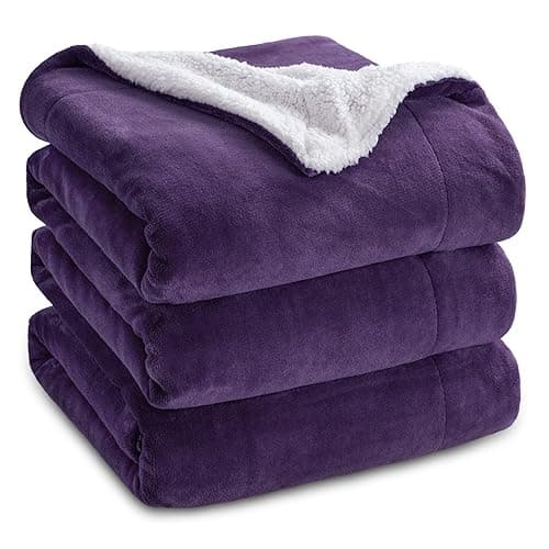 Bedsure GentleSoft Sherpa Fleece Blankets Queen Size for Bed - Thick and Warm Throw Gifts for Women and Girls, Soft Fuzzy Plush Queen Christmas Blanket for Winter, Purple, 90x90 Inches - Image 1