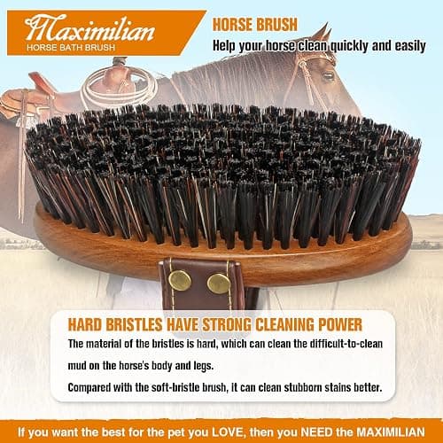 MAXIMILIAN World Class Handmade Equine Stiff Body Horse Brush. Professional Equine Grooming Tools. Effortlessly Removes Mud, Sweat and Dirt from Your Horses Hair. thumbnail 5