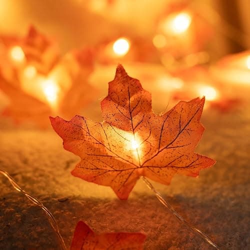 Dazzle Bright 2 Pack Thanksgiving Maple Leaf String Lights, Total 20FT 40 LED Battery Operated Lighted Fall Leaves Garland, Halloween Decorations for Indoor Outdoor Autumn Harvest Decor thumbnail 3