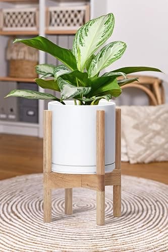 D'vine Dev Ceramic Planter with Natural Stand - 8 Inch Modern Round Flower Pot with Wood Planter Holder, White, 55-B-N-1 thumbnail 6