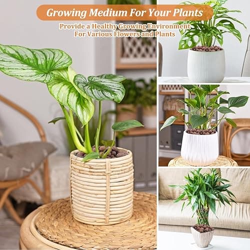 Riare 10 LBS Organic Expanded Clay Pebbles for Plants- 4mm-16mm Natural Leca Balls Lightweight Hydroponic Clay Pebbles Aggregate for Indoor Plants, Hydroponic Growing, Plants Drainage, Aquaponics thumbnail 5