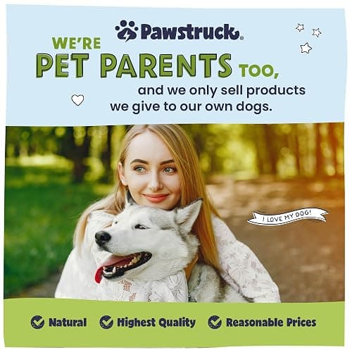 Pawstruck Small 3” Filled Dog Bones Variety Pack - Peanut Butter, Cheese & Bacon, Beef Flavors - Made in USA Long Lasting Stuffed Femur Treat for Aggressive Chewers - Pack of 3 - Packaging May Vary thumbnail 7