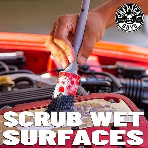 Chemical Guys All in the Details Exterior Detailing Brushes - 3-Piece Soft Scratch-Free Brushes for Wheels, Bumpers, Grilles, Badging & Tight Exterior Gaps on Cars, Trucks, SUVs & More thumbnail 3