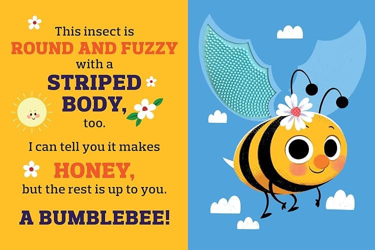 Backyard Bugs - Touch and Feel Board Book - Sensory Board Book (Touch & Feel Sensory Board Books for Baby & Toddler Time) thumbnail 7