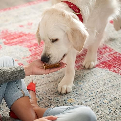 Milk-Bone Gravy Bones Dog Treats with 4 Savory Meat Flavors Coated in Gravy, 7 Pound thumbnail 6