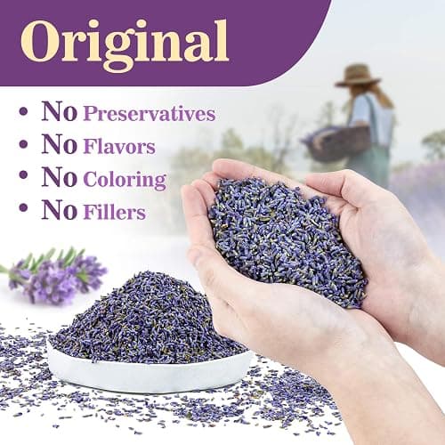 Sukh 3OZ Dried Lavender Flowers - Lavender Buds for Drawers/Closets Sachets Bags, Fresh Scents, Organic, Bulk, for Patry, Birthday, Bridal Shower, Soap or Candle Making thumbnail 3