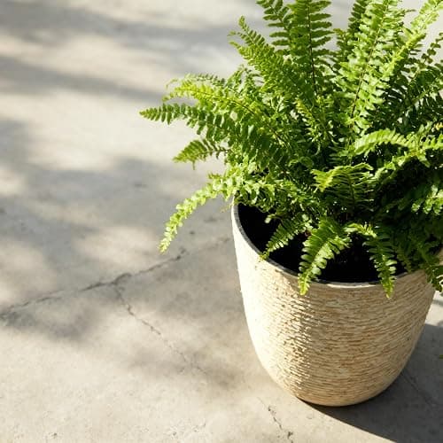 Worth 9 Gallon Tall Round Planters Set of 2-14" Dia x 21" H Stone Finish Flower Pots Indoor Decorative Container Garden Patio Unbreakable Beige thumbnail 5