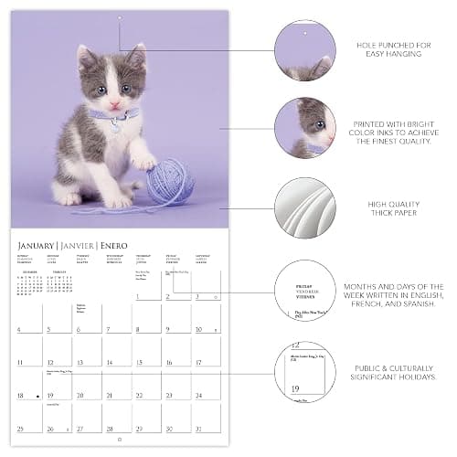 Graphique 2026 Cute Kittens Wall Calendar | 12” x 12” | Thick Paper | Home & Office Organizer | Large Monthly Grid | 3 Languages & Marked Holidays | 4 Month Preview Page for 2027 thumbnail 4