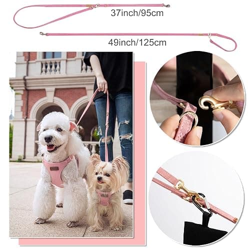 Harness and Leash thumbnail 4
