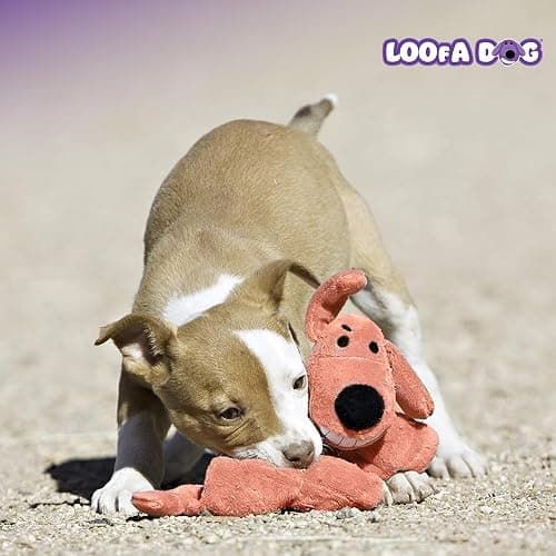 Multipet Original Loofa Dog Plush Toy Mat - Squeaky Toys for All Dogs - Extra Soft Plush - Stuffed Animal Dog Toys for Playing (1 Count, 12”, Random Color Surprise) thumbnail 8