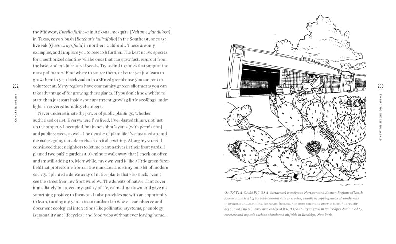 Concrete Botany: The Ecology of Plants in the Age of Human Disturbance thumbnail 4