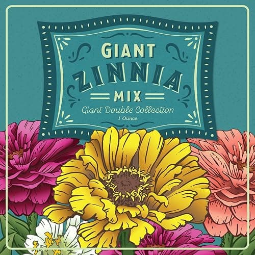 Mountain Valley Seed Co Zinnia Seeds for Planting Outdoors ~3000 California | Giant Mix Zinnia Seeds Beautiful 4' Tall Wildflower Blossoms Zinnia elegans Pollinator Seed Mix Bright, Cheerful Annual Flowe thumbnail 6
