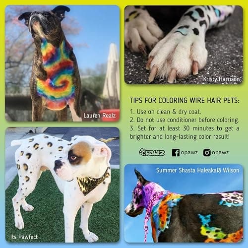 OPAWZ Permanent Dog Hair Dye, Pet Hair Dye Safely Used by Grooming Salons for a Decade, Pet Safe Dye Lasts Over 20 Washes, Bright Color for Dogs and Horses (Chic Violet) thumbnail 5