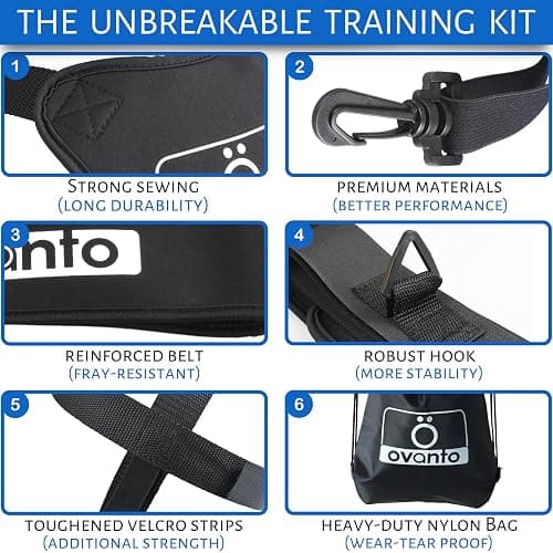 OVANTO Volleyball Training Equipment Aid – Solo Volleyball Equipment in 4 Styles to Serve, Spike, Set and Pass Like a Pro - Adjustable Volleyball Practice Equipment Gift for Beginners & Experts thumbnail 5