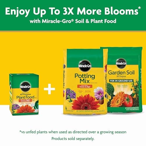Miracle-Gro Water Soluble All Purpose Plant Food, For All Indoor or Outdoor Plants, Roses, Flowers, Vegetables, Houseplants, Trees, and Shrubs, 1.5 lbs thumbnail 11