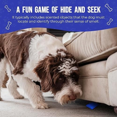 Interactive Dog Scent Training Kit Fun - Nose Work for Dogs, Hide and Seek Dog Toys, Enhance Dog Brain Games, Nose Scent work Games for All Ages Dog, Dog Scent Training Box, Scent Work Kit for Dogs thumbnail 7